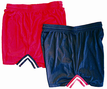 Ladies Mesh Shorts